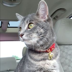 Meet your Posher, Jayde